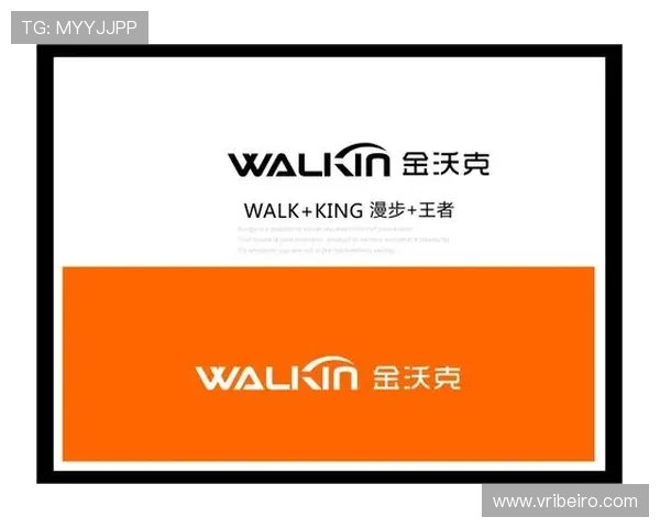 八戒体育行业竞争格局分析，洞察市场趋势与发展机遇