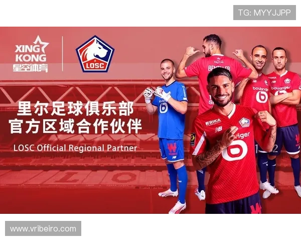 星空体育网址安全可靠登录指南,帮助用户轻松访问海量体育内容资源