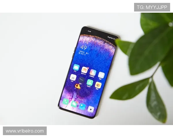 力量体育登录账号忘记密码怎么办，详细步骤帮你快速找回账号